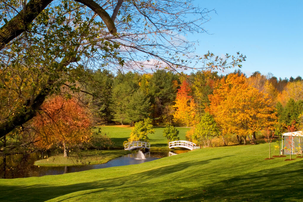 Notre site aux couleurs d'automne.