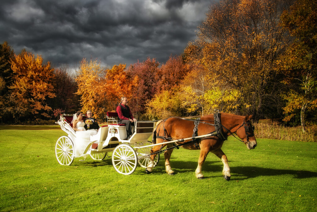 Nos mariés en calèche sur notre site aux couleurs d'automne.