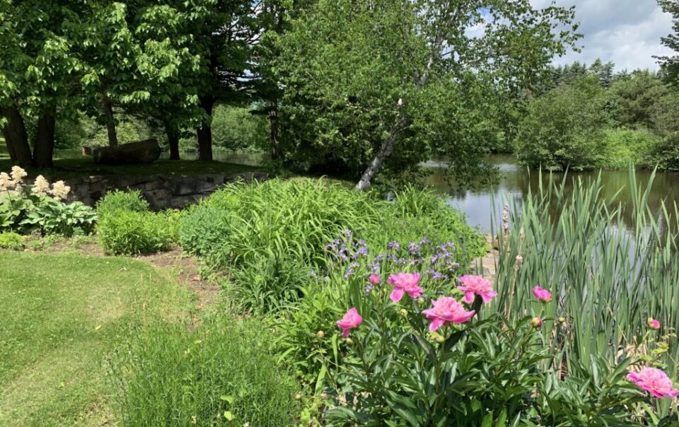 Le jardin au bord du ruisseau