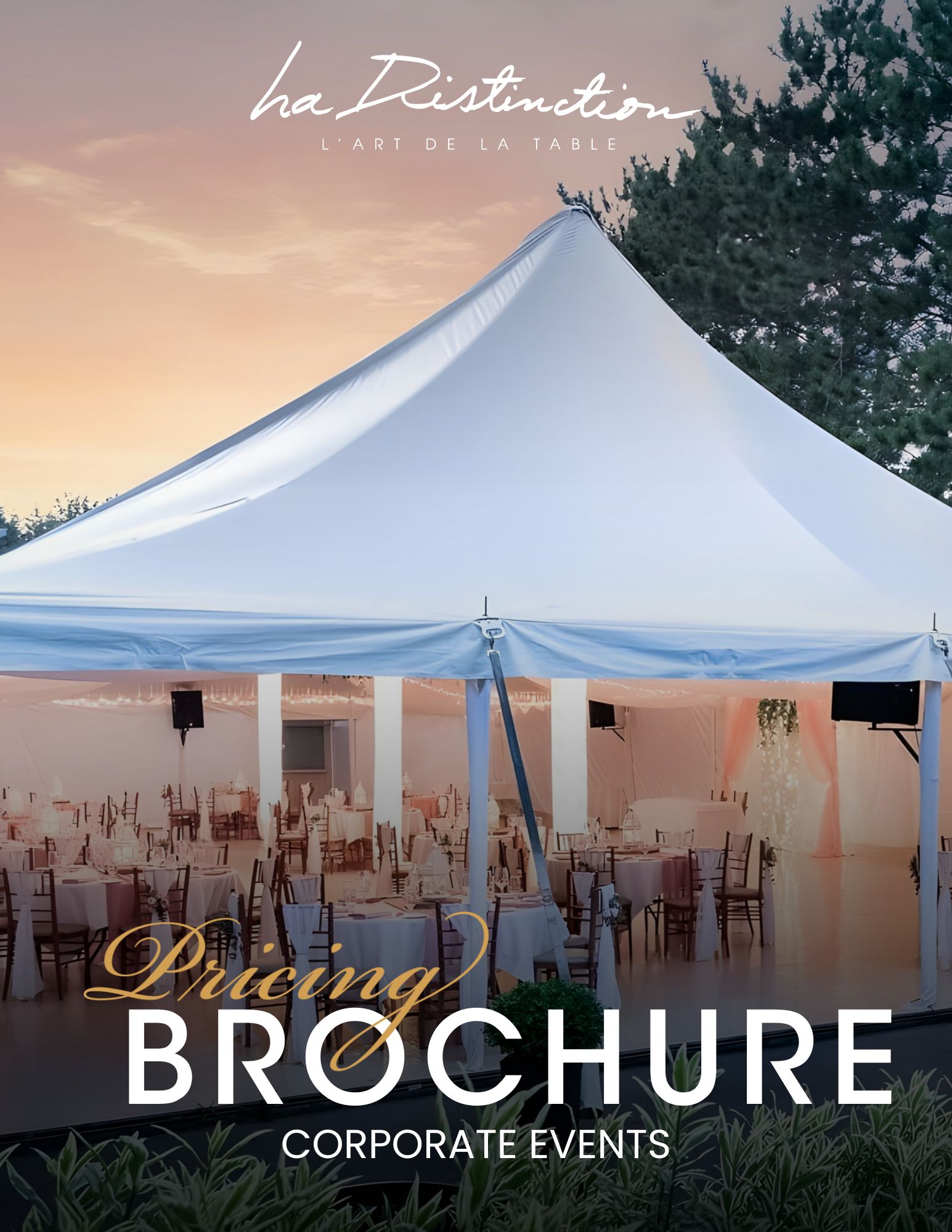 Imagen de portada de folleto de Distinction