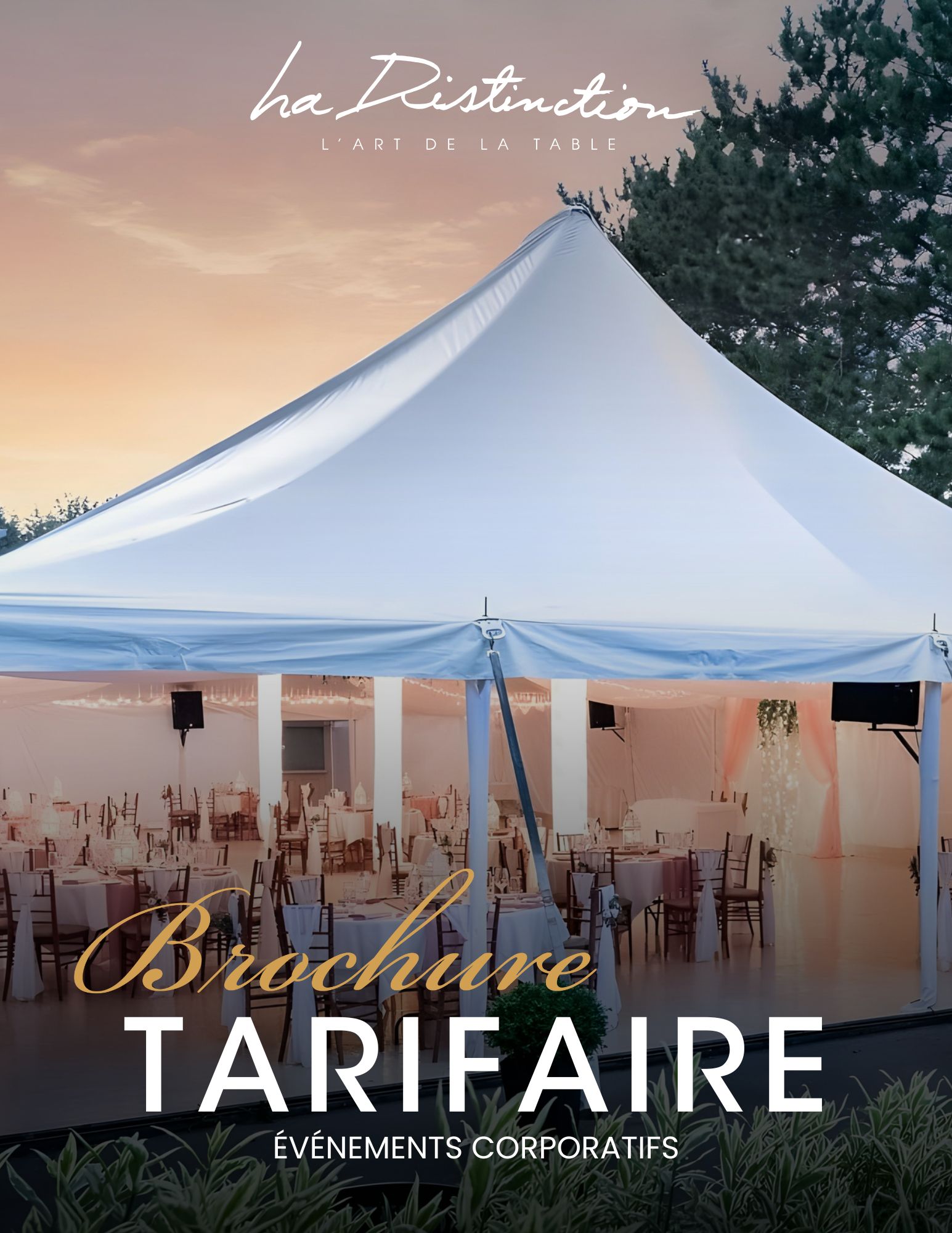 Imagen de portada de folleto de Distinction